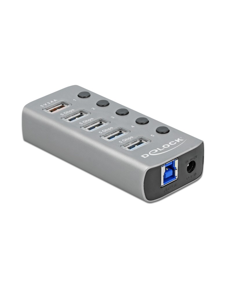 DELOCK USB hub 63262 με διακόπτες, 5x θυρών, 5Gbps, 2.4A, γκρι