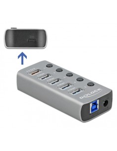 DELOCK USB hub 63263 με διακόπτες, 6x θυρών, 5Gbps,...