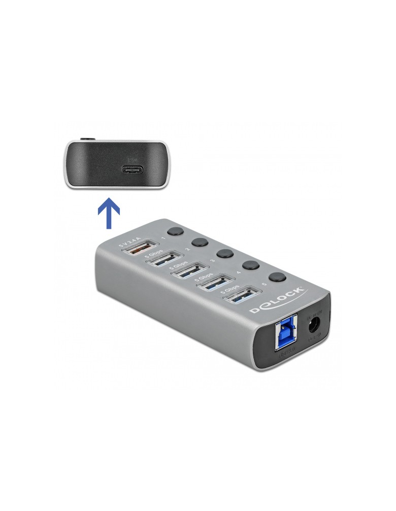 DELOCK USB hub 63263 με διακόπτες, 6x θυρών, 5Gbps, 12V/2.25A PD, γκρι