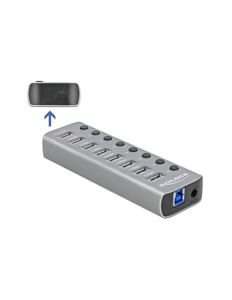 DELOCK USB hub 63264 με διακόπτες, 9x θυρών, 5Gbps, 12V/2.25A PD, γκρι