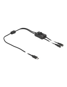 DELOCK καλώδιο USB Type-C σε 2x DC 5.5 x 2.1mm 86800, 1m,...