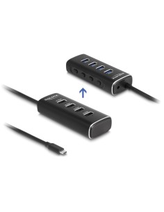 DELOCK USB hub 64233 με διακόπτες, 4 θυρών, 10Gbps, USB-C...