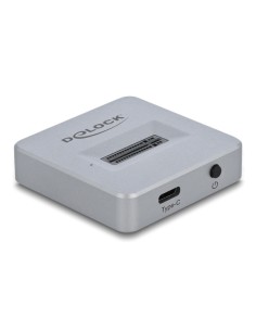 DELOCK docking station 64000 για M.2 NVMe SSD, 10Gbps, γκρι