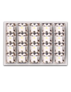 Λάμπα πλαφονιέρας με 20 LED, 35x50mm, λευκό 1 ΤΜΧ