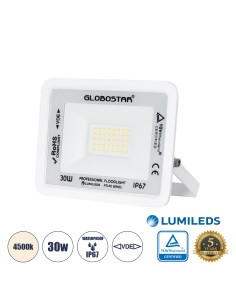 GloboStar® ATLAS 61414 Επαγγελματικός Προβολέας LED 30W...